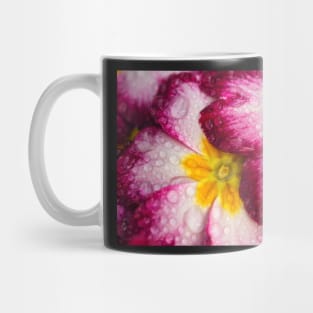 Close-up of Primula flowers covered in droplets Mug